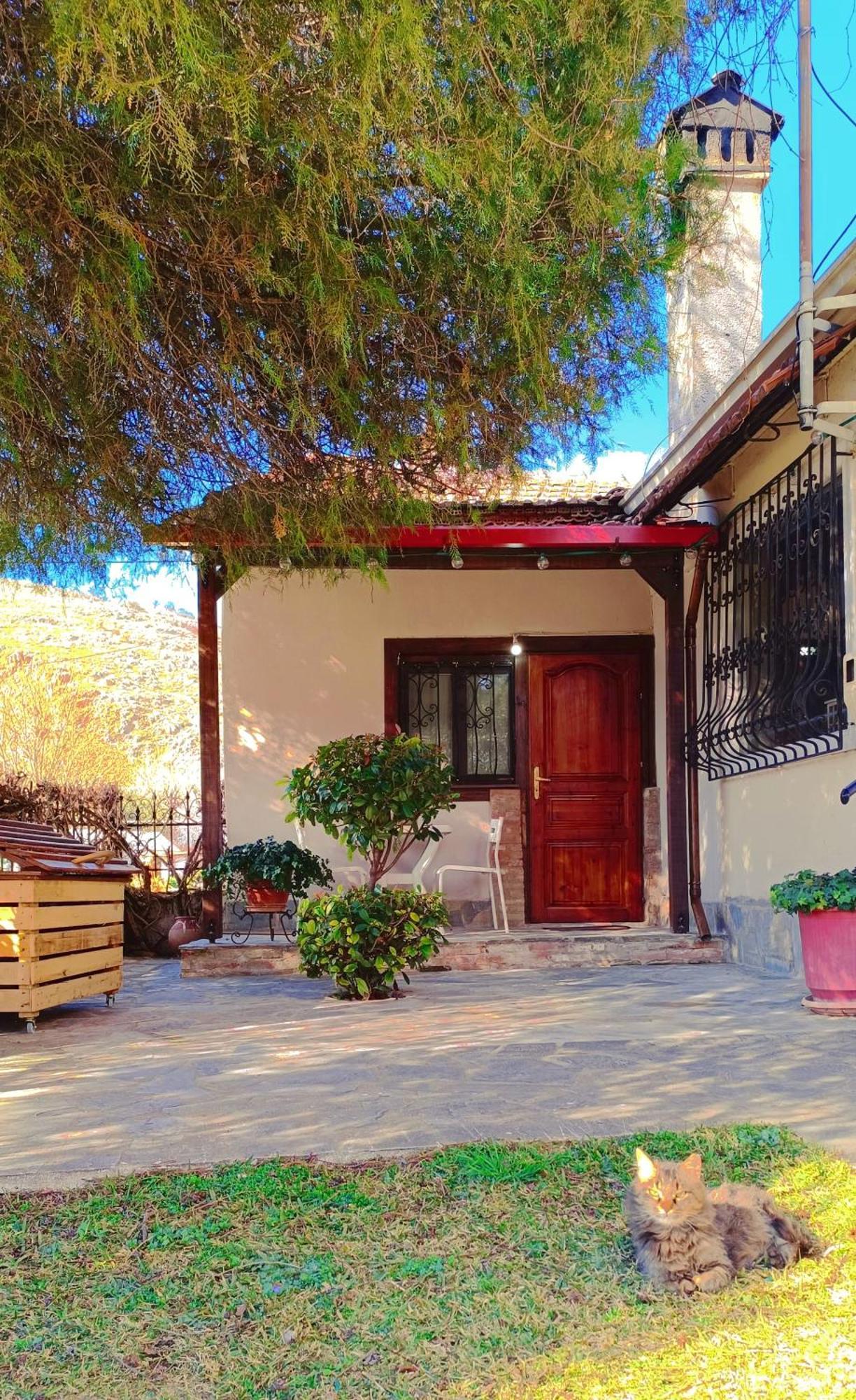 Το Πέτρινο Σπιτάκι Daire Tríkala Dış mekan fotoğraf
